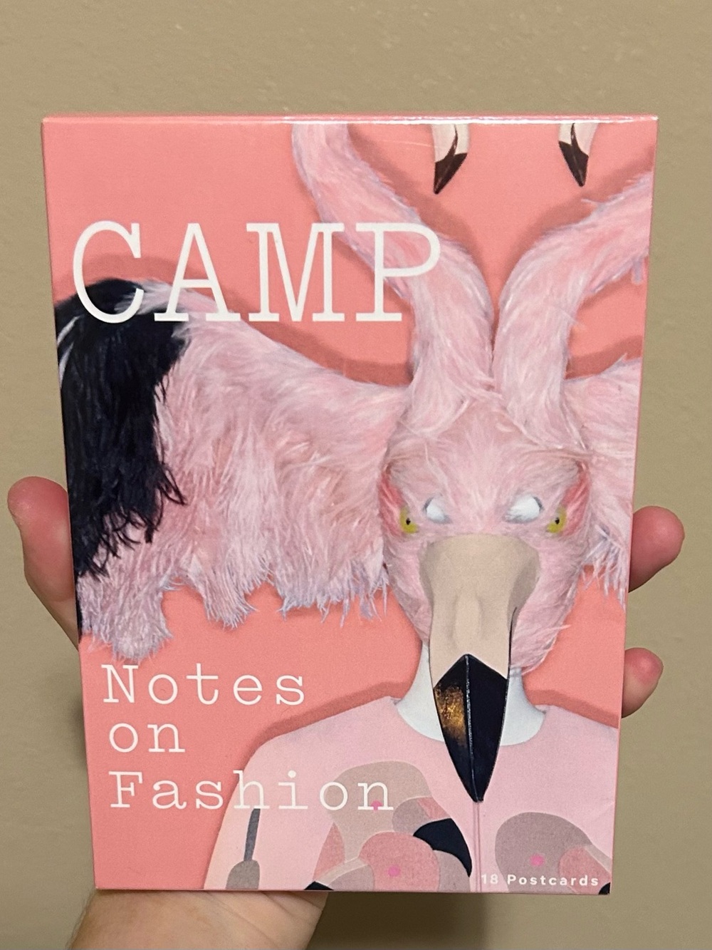 Camp Notes on Fashion Postcard Set The Met Gala Fashion Designers 2019